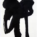 images/galeries/21/vignettes/sD5 19 16x50.jpg